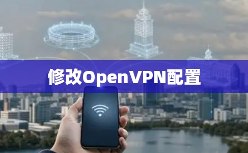 修改OpenVPN配置 修改OpenVPN配置